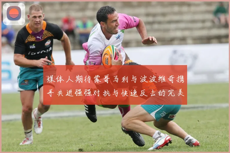 媒体人期待蒙哥马利与波波维奇携手共进强强对抗与快速反击的完美结合