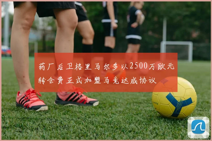 药厂后卫格里马尔多以2500万欧元转会费正式加盟马竞达成协议
